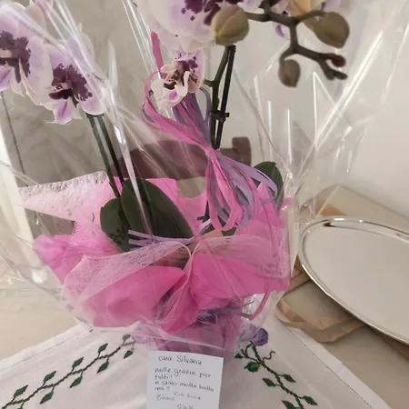 Cosy 아파트 벨루노